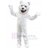 Bear mascot costume