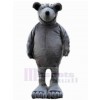 Bear mascot costume
