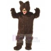 Bear mascot costume