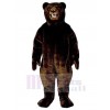 Bear mascot costume