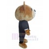 Bear mascot costume