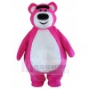 Bear mascot costume