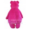 Bear mascot costume