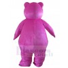 Bear mascot costume