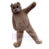 Bear mascot costume