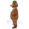 Bear mascot costume