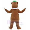 Bear mascot costume