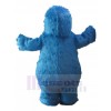 Bear mascot costume