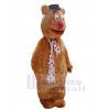 Bear mascot costume