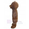 Bear mascot costume