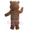 Bear mascot costume