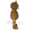Bear mascot costume
