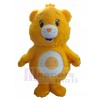 Bear mascot costume