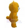 Bear mascot costume