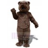 Bear mascot costume