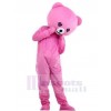 Bear mascot costume
