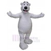 Bear mascot costume