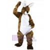 Easter Bunny Rabbit mascot costume