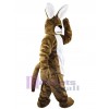 Easter Bunny Rabbit mascot costume