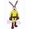 Easter Bunny Rabbit mascot costume