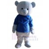 Bear mascot costume
