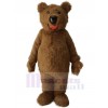 Bear mascot costume