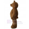 Bear mascot costume