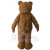 Bear mascot costume