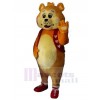 Bear mascot costume