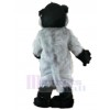 Bear mascot costume