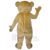 Bear mascot costume