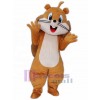 Chipmunk mascot costume