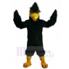 Eagle Hawk mascot costume