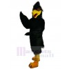 Eagle Hawk mascot costume