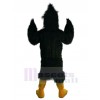 Eagle Hawk mascot costume