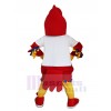 Eagle Hawk mascot costume