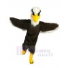 Eagle Hawk mascot costume
