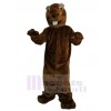Groundhog mascot costume