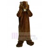 Groundhog mascot costume