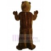 Groundhog mascot costume