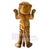 Lion mascot costume