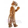 Lion mascot costume