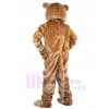 Lion mascot costume