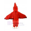 Bird mascot costume