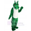 Dragon mascot costume