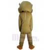 Owl mascot costume