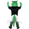 Crocodile mascot costume