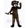 Raccoon mascot costume