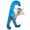 Dolphin mascot costume