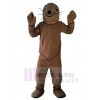 Seal mascot costume